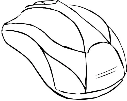 2024-03-05-h-seki-03.webp